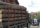 10.000 de lei amendă și lemne în valoare de peste 8.400 lei confiscate, după o acțiune a IPJ Covasna