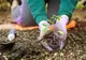 APIA primește cereri de sprijin pentru schema de ajutor de stat „Servicii de silvomediu, servicii climatice și conservarea pădurilor”