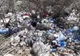Cum „s-a evaporat” o groapă ilegală de gunoi din Întorsura Buzăului, în 24 de ore, de frica amenzilor