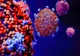 De la 230 la 223 de cazuri de coronavirus în județul Covasna