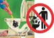 Măștile de protecție, mucurile de țigară sau lenjeria intimă NU au ce căuta în WC!
