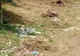 Covăsnean amendat cu 6.000 de lei de Garda de Mediu pentru că ardea deşeuri
