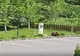 VIDEO Urs filmat în parcarea unui hotel din Voineşti-Covasna
