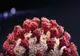 Evoluția cazurilor de coronavirus din România!