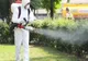 Pentru protejarea albinelor, acţiunea de dezinsecţie va avea loc în două etape
