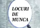 Peste 20 de locuri de muncă disponibile în Primăria Sfântu Gheorghe