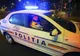 Cercetat pentru contrabandă, operațiuni cu articole pirotehnce, tăiere de arbori și furt de material lemnos