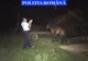 Bărbat cercetat pentru rănirea sau schingiuirea animalelor  