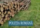 Doi bărbați reținuți pentru tăiere fără drept de arbori și tentativă la furt de arbori
