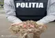 Păsări salvate de polițiștii din cadrul Biroului pentru Protecția Animalelor