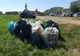 Tone de deșeuri colectate de pe râul Olt, în județele Harghita și Covasna