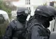 Zeci de percheziţii în Bistriţa-Năsăud într-un dosar de tăieri ilegale de arbori (VIDEO)