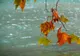 Vreme schimbătoare, cu ceață, ploi, polei și temperaturi peste normalul acestei perioade