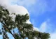 Prognoza meteo 2 februarie. Vremea, împărțită între ploi și ninsori. Temperaturile urcă la 7 grade