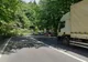 Copac căzut pe carosabil, în județul Covasna