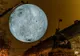 Primăria Sfântu Gheorghe aduce Luna în Parcul Central