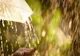 Vremea 12 iulie - Temperaturi sub normalul perioadei