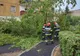 Vremea nefavorabilă a produs primele pagube, în județul Covasna