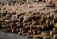 Austria, afaceri și profituri uriașe din lemnul românesc - Amploarea defrișărilor, estimată la 270 de milioane de mc