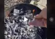 VIDEO - Ce se întâmplă dacă pui sare peste cărbunii încinși pentru grătar - Motivul pentru care trebuie să faci asta