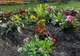 INIȚIATIVE PENTRU UN MEDIU MAI CURAT ȘI O COMUNITATE UNITĂ: ȘCOALA HENTER KÁROLY DIN BODOC A INAUGURAT RADIOUL ȘCOLII ȘI A PLANTAT FLORI ÎN SĂPTĂMÂNA VERDE