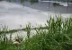Cod galben de viituri și inundații locale în 21 de județe. Avertizarea hidrologilor - HARTĂ